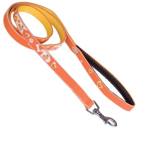 Laisse 2D Motif Coeur Orange