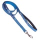 Laisse 2D Motif Coeur Bleu