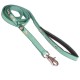 Laisse 2D Motif Coeur Vert