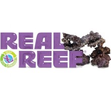 Real Reef Rock