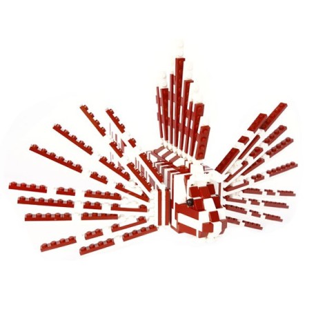 Lego - Lionfish - Pterois volitans - Rascasse volante