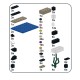 Lego - Domino Damsel - Dascyllus trimaculatus - Demoiselle à trois points