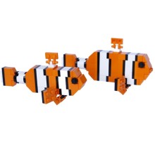 Pair Clownfish, Male & Female - Poisson-clown