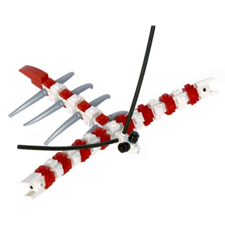 Lego - Boxing Shrimp - Stenopus hispidus - Grande Crevette Nettoyeuse