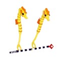 Seahorse & Pipefish - Hippocampes & Syngnathe