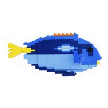 Regal Tang - Chirurgien bleu