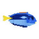 Regal Tang - Chirurgien bleu