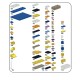 Lego - Regal Angelfish - Pygoplites diacanthus - Poisson Ange Duc