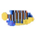 Regal Angelfish - Poisson Ange Duc