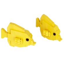 Yellow Tang - Chirurgien jaune