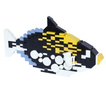 Clown Triggerfish - Baliste clown