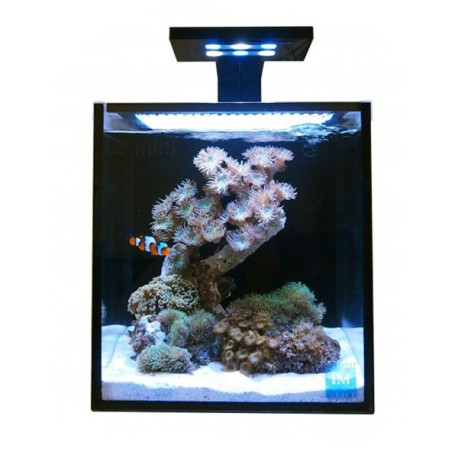 Innovative Marine - Fusion Nano
