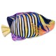 Coussin Ange Duc - Pygoplites Diacanthus