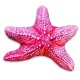 Coussin Etoile de Mer