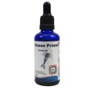 DVH - Ocean Prime Copepods