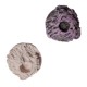 BubblePets - Plug de Bouturage Ceramique Premium