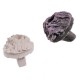 BubblePets - Plug de Bouturage Ceramique Premium