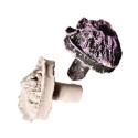 BubblePets - Plug de Bouturage Premium